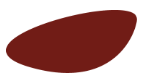 credin polska